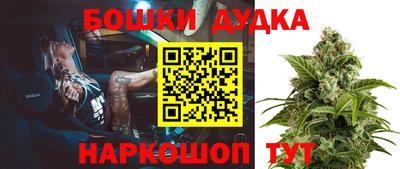 сатива Жуковский