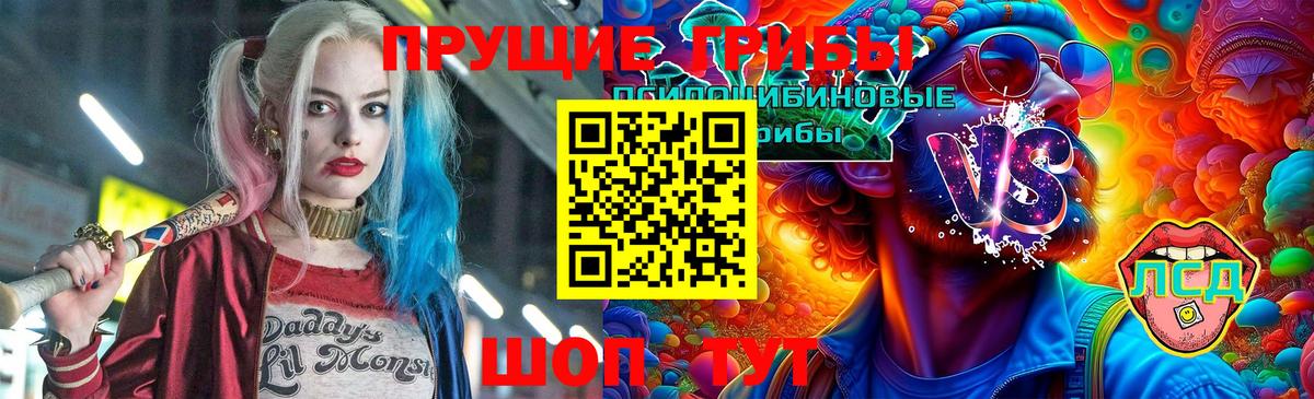 Шелехов  Псилоцибиновые грибы ЛСД  Вход с VPN 